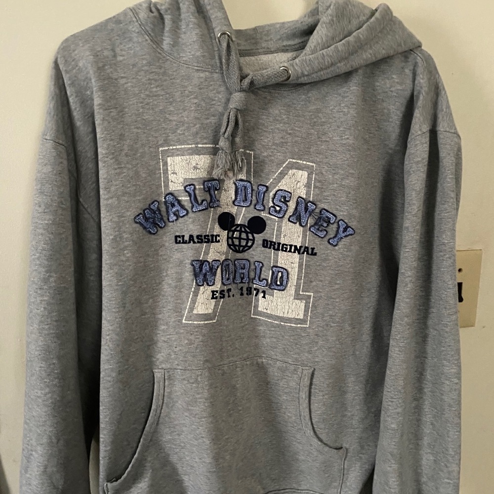 Grey Walt Disney world small hoodie Disney parks